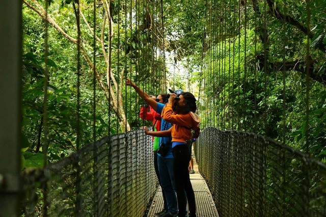 Visit La Fortuna Hanging Bridges, Arenal Volcano, and Falls Tour in Quesada, Costa Rica