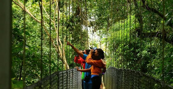 La Fortuna: Hanging Bridges, Arenal Volcano, and Falls Tour