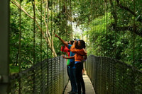 拉福纳（La Fortuna），悬挂桥，阿雷纳尔火山和瀑布之旅 - Housity