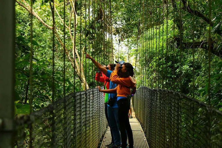 La Fortuna: hangende bruggen, Arenal-vulkaan en watervallen