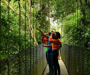 La Fortuna: Hanging Bridges, Arenal Volcano, and Falls Tour
