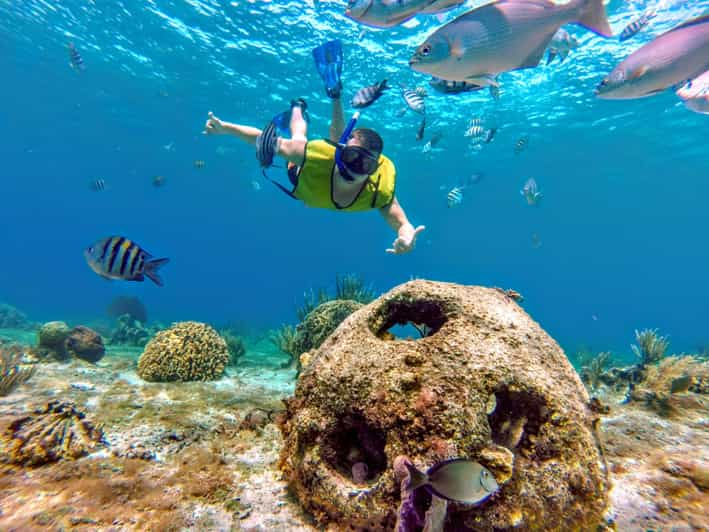 Cozumel: croisière El Cielo avec plongée en apnée et visite du club de  plage | GetYourGuide