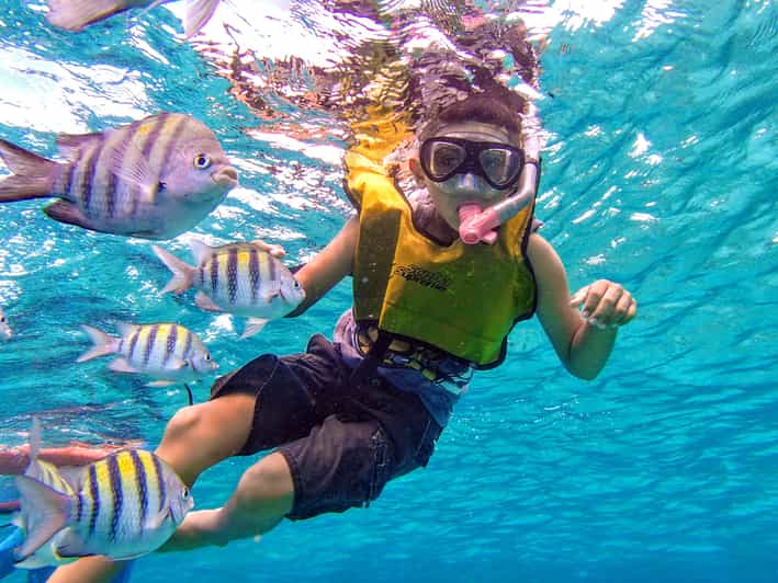 Cozumel El Cielo Cruise with Snorkeling & Beach Club Visit GetYourGuide