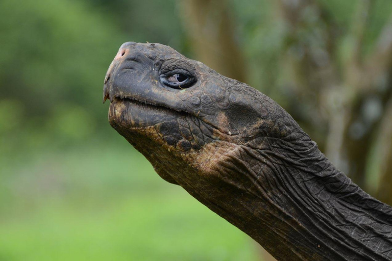 Zanzibar: Trip to The Salaam Cave and The Rock Restaurant