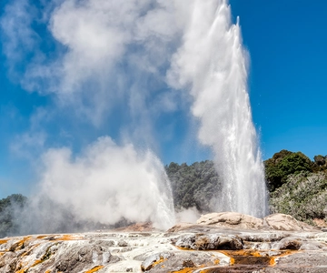 De Auckland: Traslado de ida para Rotorua com excursão a Hobbiton