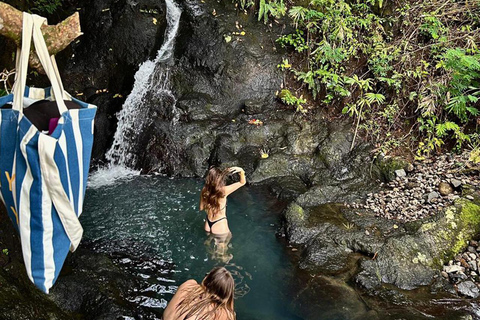 Best of East Bali: Gate of Heaven, Besakih & Water Palace