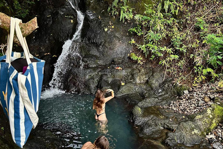 Best of East Bali: Gate of Heaven, Besakih & Water Palace