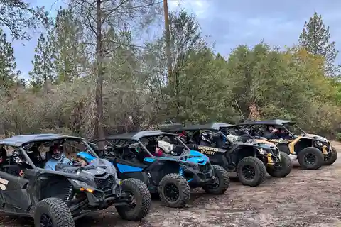 Yosemite: 4X4 UTV Giant Sequoia Tour