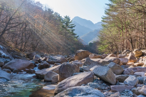 Van Seoul: Mt Seorak-wandeling en Naksansa-tempel / Nami-eilandNami Shared Tour, ontmoeting op station Myeongdong