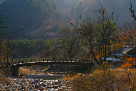 Van Seoul: Mt Seorak-wandeling en Naksansa-tempel / Nami-eilandNami Shared Tour, ontmoeting op station Myeongdong