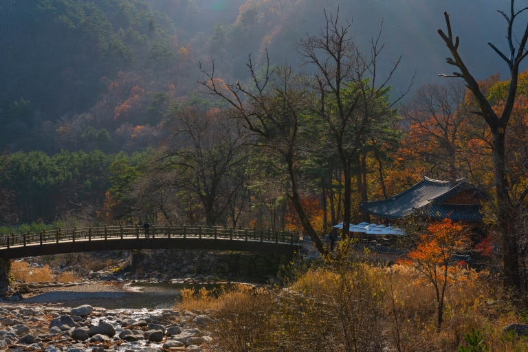 Z Seulu: wycieczka na Mt Seorak i świątynia Naksansa / wyspa NamiNami Shared Tour, spotkanie w Hongik Uni. Stacja (Hongdae).