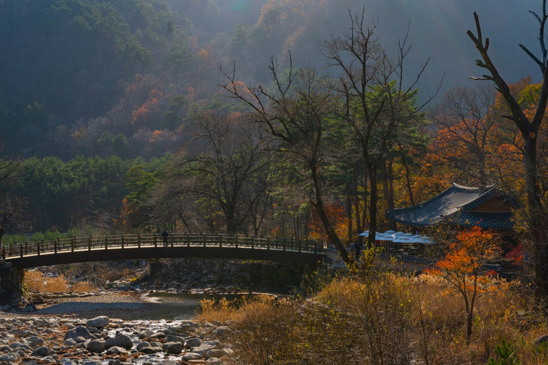 From Seoul: Mt Seorak Hike and Naksansa Temple/ Nami Island Naksansa Shared Tour, Meet at Myeongdong