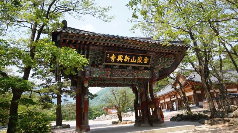Seoul: Escursione al monte Seorak con il tempio di Naksansa o l'isola di Nami