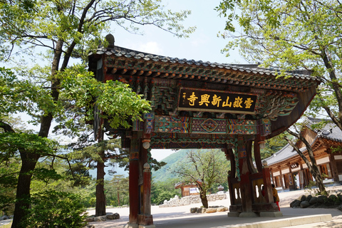 Desde Seúl: ruta al Monte Seorak y templo Naksans/Isla NamiExcursión compartida Naksansa, Encuentro en la estación DDP (Dongdaemun)