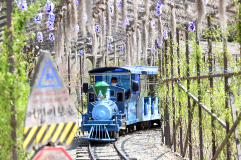 Seoul: Mt Seorak Hike with Naksansa Temple or Nami IslandNaksansa Group Tour, Meet at Myeongdong