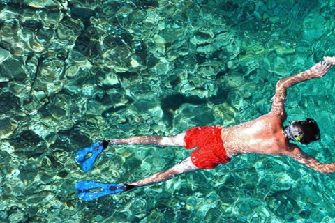 جولة على متن قارب سريع في راشا ياي وجزيرة المرجان في فوكيت + منتجع صحي بعد الشمسجولة في قارب سريع في 