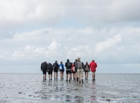 Pieterburen, Wadden Sea Mudflats Guided Walking Tour - Housity
