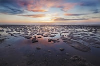 Pieterburen, Wadden Sea Mudflats guidé à pied - Housity