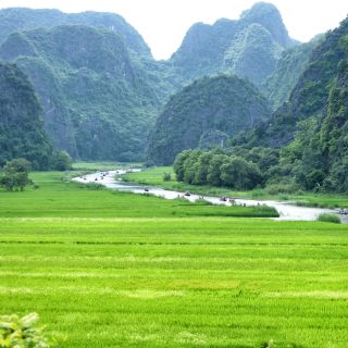 Hoa Lu-Mua Cave-Tam Coc-Bich Dong-Thung Nham National Park