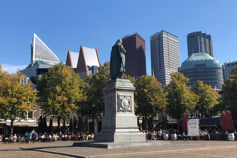 Besök flickan med pärlörhänget, Haag och DelftBesök flickan med pärlöronen, Haag och staden Delft