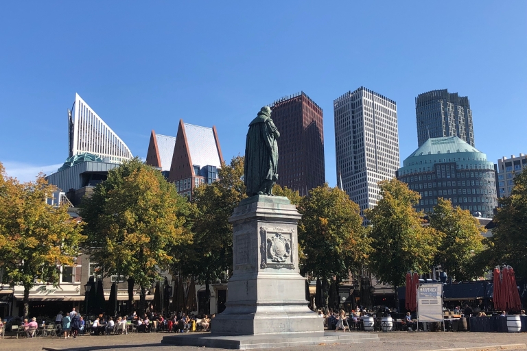 Den Haag: stadstour en Mauritshuis