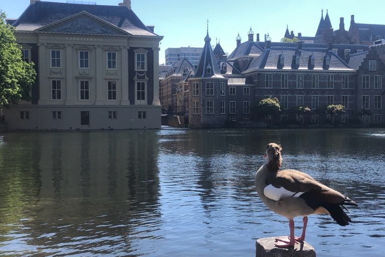 La Haye et la galerie Mauritshuis