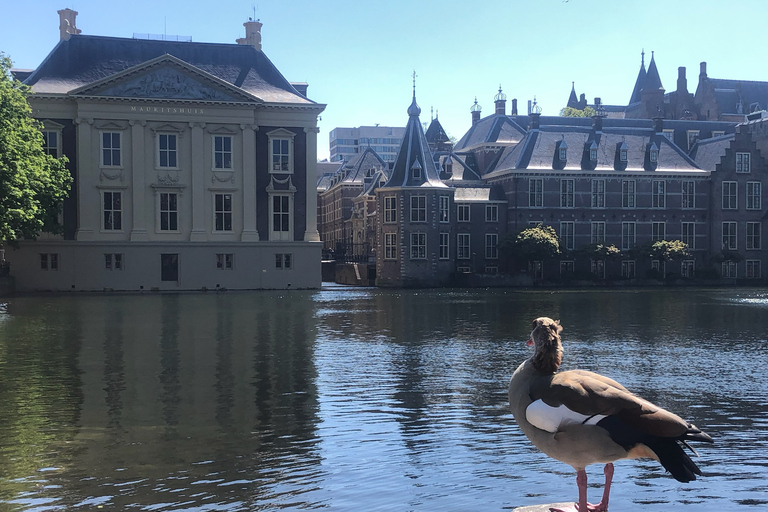 La Haye et la galerie Mauritshuis