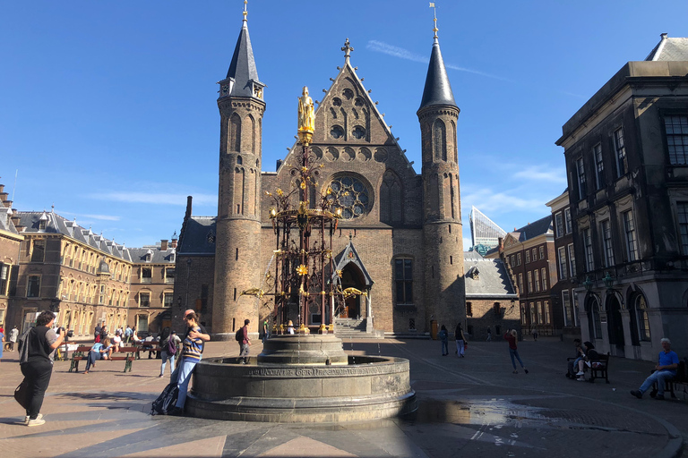 Besök flickan med pärlörhänget, Haag och DelftBesök flickan med pärlöronen, Haag och staden Delft