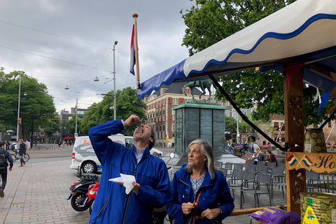 Den Haag: stadstour en Mauritshuis