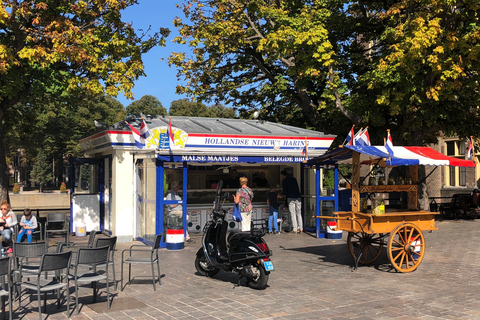 Besök flickan med pärlörhänget, Haag och DelftBesök flickan med pärlöronen, Haag och staden Delft