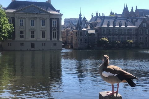 Amsterdam: Tagesausflug nach Delft, Leiden, Den Haag und Haarlem