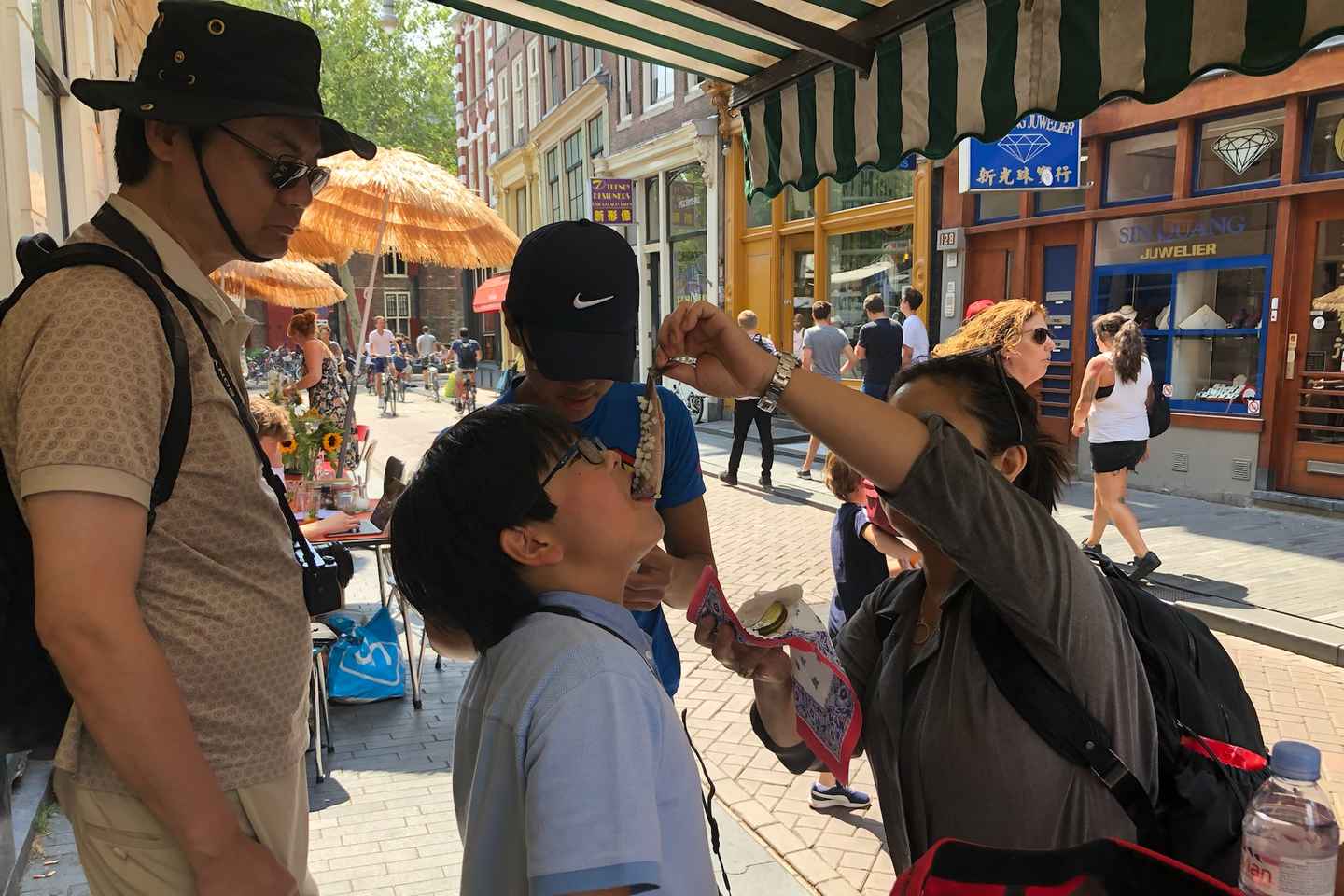 Heimsæktu Hollensku sveitina: Vindmyllur og fiskibæir