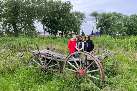 Campo holandés: tour privado de un día en auto de lujo