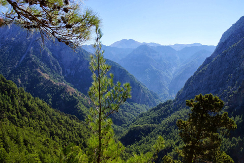 Från Chania/Rethymno: Samaria Gorge Lätt vägFrån Chania: Easy Way Samaria Gorge