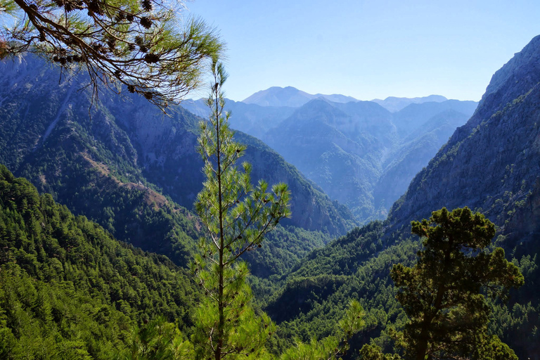 De Chania/Rethymno: Desfiladeiro de Samaria Easy WayDe Chania: Easy Way Samaria Gorge