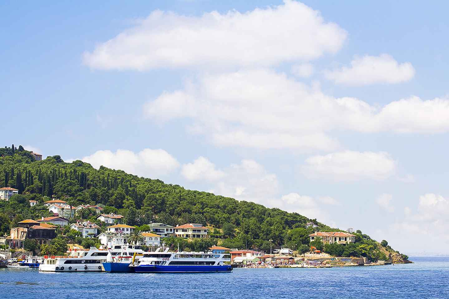 Istanbul: Round-Trip Ferry Tickets to the Princes' Islands - Round-Trip Ferry Tickets to Princes Islands with Audio Guide