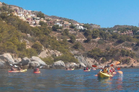 Van Málaga: Kliffen van Maro-Cerro Gordo begeleide kajaktocht