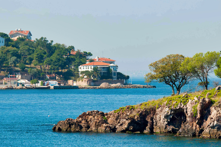 Från Istanbul: Heldagstur till Princes Island med lunchHeldagstur till Princes Island med upphämtning