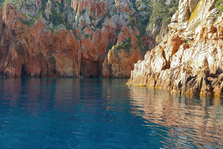 Porto: Guidad båttur i Piana och Capo RossoGuidad båttur i Piana och på Capo Rosso-halvön