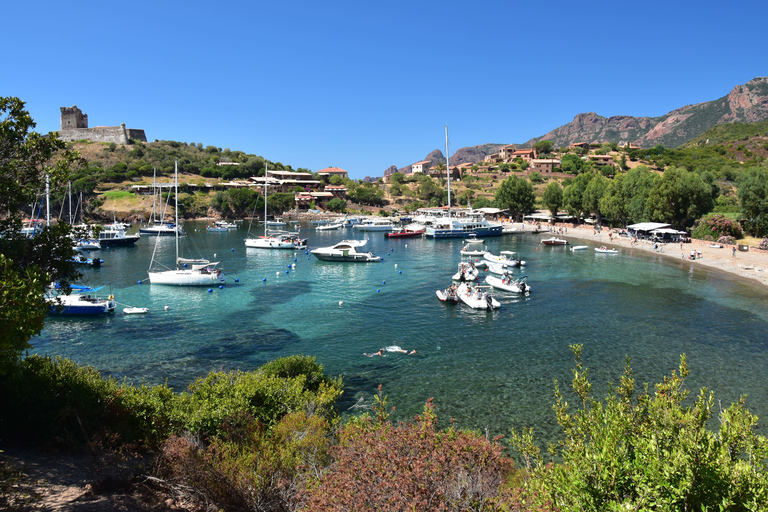 Porto: Scandola Nature Reserve and Creeks of Piana Boat Tour