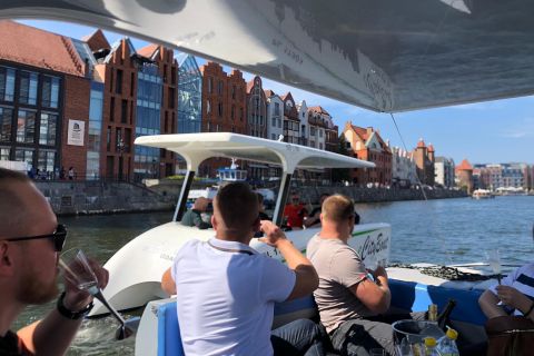 Gdańsk: Prywatny rejs widokowy po Motławie