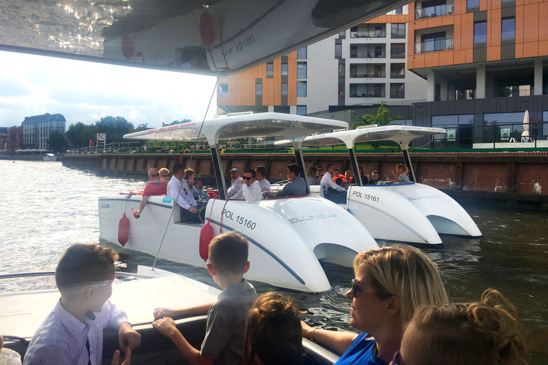 Gdańsk: Passeio turístico em EcoCruise pelo centro histórico de Gdansk