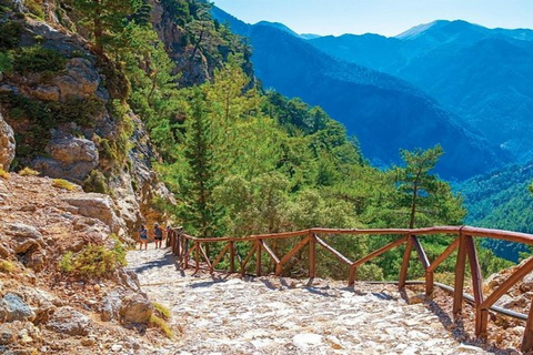 De Chania/Rethymno: Caminhada guiada pelo desfiladeiro de Samariá com trasladoSamariá Gorge Caminhada de Chania