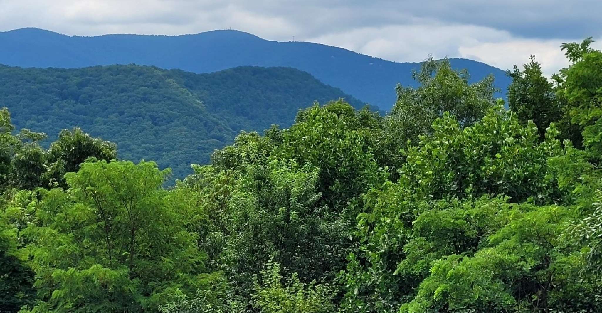 Van Atlanta, Half-Dag of Full-Day Wine Country Proefreis - Hizvo