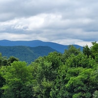 Da Atlanta, mezza giornata o un'intera giornata di degustazione del paese del vino - Hizvo