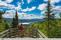 From Montreal, Mont-Tremblant National Park Hiking Day Trip - Hizvo