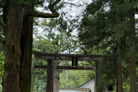 From Tokyo: Nikko World Heritage Sight Full Day Private Tour