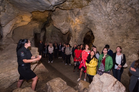 Desde Auckland: traslado a Rotorua con el tour de las cuevas de Waitomo