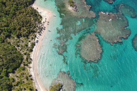 Île de Saona : Croisière plage et piscine avec déjeuner depuis BavaroTransport depuis Bavaro, Punta cana, Bayahibe, La Romana.