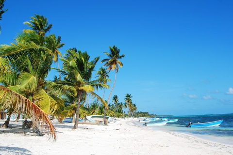 Île de Saona : Croisière plage et piscine avec déjeuner depuis BavaroTransport depuis Bavaro, Punta cana, Bayahibe, La Romana.